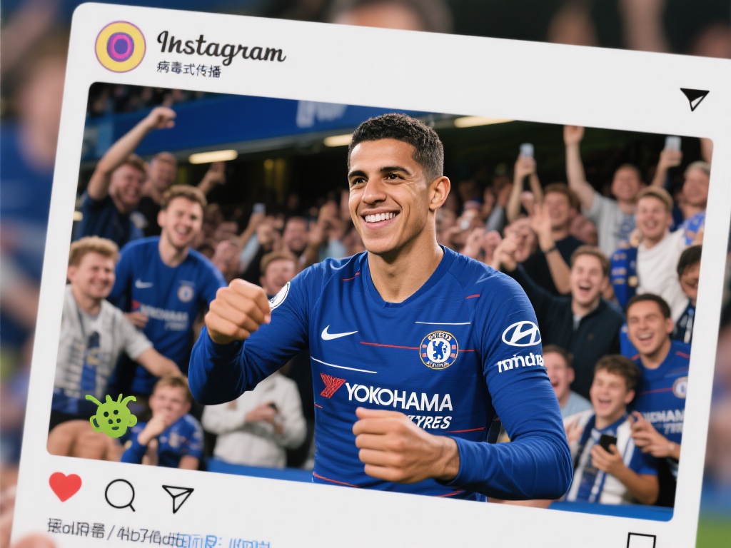 的服务大大 的服务大大